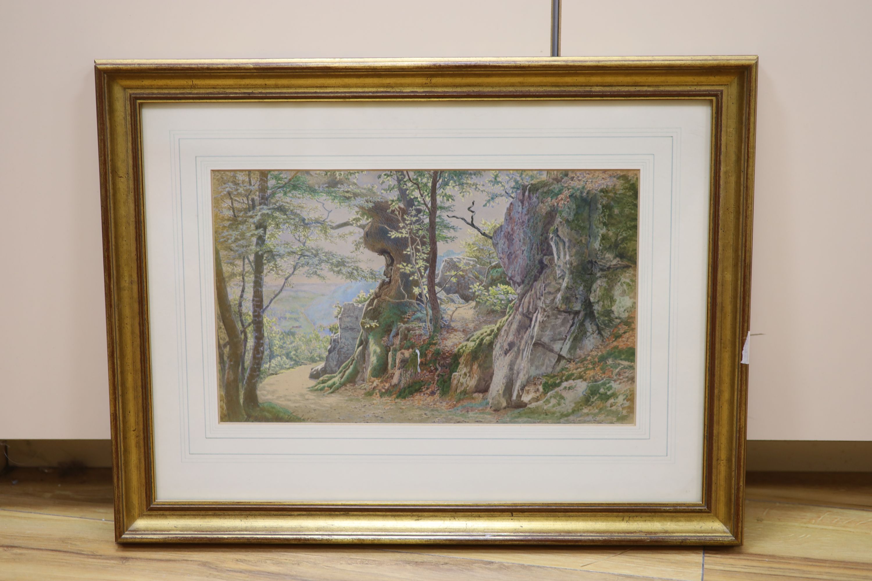 William Biscombe Gardner (1847-1919), watercolour, Landscape near Tunbridge Wells, signed and dated 1899, 20 x 33cm